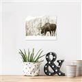 Picture of Winter Moose _GroupedProduct_Rectangle_Landscape_Photography _GroupedProduct_Rectangle_Landscape_Unframed_Print_Only_