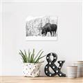 Picture of Winter Moose _GroupedProduct_Rectangle_Landscape_Photography _GroupedProduct_Rectangle_Landscape_Unframed_Print_Only_