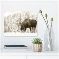 Picture of Winter Moose _GroupedProduct_Rectangle_Landscape_Photography _GroupedProduct_Rectangle_Landscape_Unframed_Print_Only_