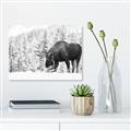 Picture of Winter Moose _GroupedProduct_Rectangle_Landscape_Photography _GroupedProduct_Rectangle_Landscape_Unframed_Print_Only_