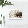 Picture of Winter Moose _GroupedProduct_Rectangle_Landscape_Photography _GroupedProduct_Rectangle_Landscape_Unframed_Print_Only_