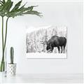 Picture of Winter Moose _GroupedProduct_Rectangle_Landscape_Photography _GroupedProduct_Rectangle_Landscape_Unframed_Print_Only_