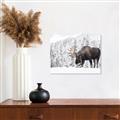 Picture of Winter Moose _GroupedProduct_Rectangle_Landscape_Photography _GroupedProduct_Rectangle_Landscape_Unframed_Print_Only_