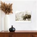 Picture of Winter Moose _GroupedProduct_Rectangle_Landscape_Photography _GroupedProduct_Rectangle_Landscape_Unframed_Print_Only_