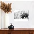 Picture of Winter Moose _GroupedProduct_Rectangle_Landscape_Photography _GroupedProduct_Rectangle_Landscape_Unframed_Print_Only_
