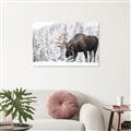 Picture of Winter Moose _GroupedProduct_Rectangle_Landscape_Photography _GroupedProduct_Rectangle_Landscape_Unframed_Print_Only_