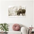 Picture of Winter Moose _GroupedProduct_Rectangle_Landscape_Photography _GroupedProduct_Rectangle_Landscape_Unframed_Print_Only_