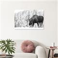 Picture of Winter Moose _GroupedProduct_Rectangle_Landscape_Photography _GroupedProduct_Rectangle_Landscape_Unframed_Print_Only_