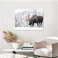 Picture of Winter Moose _GroupedProduct_Rectangle_Landscape_Photography _GroupedProduct_Rectangle_Landscape_Unframed_Print_Only_