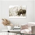Picture of Winter Moose _GroupedProduct_Rectangle_Landscape_Photography _GroupedProduct_Rectangle_Landscape_Unframed_Print_Only_