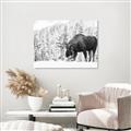Picture of Winter Moose _GroupedProduct_Rectangle_Landscape_Photography _GroupedProduct_Rectangle_Landscape_Unframed_Print_Only_