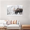 Picture of Winter Moose _GroupedProduct_Rectangle_Landscape_Photography _GroupedProduct_Rectangle_Landscape_Unframed_Print_Only_