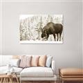 Picture of Winter Moose _GroupedProduct_Rectangle_Landscape_Photography _GroupedProduct_Rectangle_Landscape_Unframed_Print_Only_