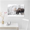 Picture of Winter Moose _GroupedProduct_Rectangle_Landscape_Photography _GroupedProduct_Rectangle_Landscape_Unframed_Print_Only_