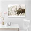 Picture of Winter Moose _GroupedProduct_Rectangle_Landscape_Photography _GroupedProduct_Rectangle_Landscape_Unframed_Print_Only_