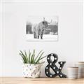 Picture of Fluffy Friend _GroupedProduct_Rectangle_Landscape_Photography _GroupedProduct_Rectangle_Landscape_Unframed_Print_Only_