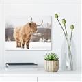 Picture of Fluffy Friend _GroupedProduct_Rectangle_Landscape_Photography _GroupedProduct_Rectangle_Landscape_Unframed_Print_Only_