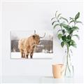 Picture of Fluffy Friend _GroupedProduct_Rectangle_Landscape_Photography _GroupedProduct_Rectangle_Landscape_Unframed_Print_Only_