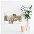 Picture of Fluffy Friend _GroupedProduct_Rectangle_Landscape_Photography _GroupedProduct_Rectangle_Landscape_Unframed_Print_Only_