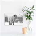 Picture of Fluffy Friend _GroupedProduct_Rectangle_Landscape_Photography _GroupedProduct_Rectangle_Landscape_Unframed_Print_Only_
