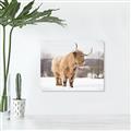 Picture of Fluffy Friend _GroupedProduct_Rectangle_Landscape_Photography _GroupedProduct_Rectangle_Landscape_Unframed_Print_Only_