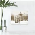 Picture of Fluffy Friend _GroupedProduct_Rectangle_Landscape_Photography _GroupedProduct_Rectangle_Landscape_Unframed_Print_Only_