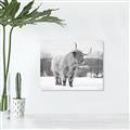 Picture of Fluffy Friend _GroupedProduct_Rectangle_Landscape_Photography _GroupedProduct_Rectangle_Landscape_Unframed_Print_Only_