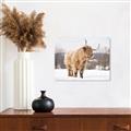 Picture of Fluffy Friend _GroupedProduct_Rectangle_Landscape_Photography _GroupedProduct_Rectangle_Landscape_Unframed_Print_Only_
