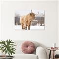 Picture of Fluffy Friend _GroupedProduct_Rectangle_Landscape_Photography _GroupedProduct_Rectangle_Landscape_Unframed_Print_Only_