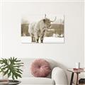 Picture of Fluffy Friend _GroupedProduct_Rectangle_Landscape_Photography _GroupedProduct_Rectangle_Landscape_Unframed_Print_Only_