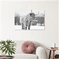 Picture of Fluffy Friend _GroupedProduct_Rectangle_Landscape_Photography _GroupedProduct_Rectangle_Landscape_Unframed_Print_Only_