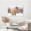 Picture of Fluffy Friend _GroupedProduct_Rectangle_Landscape_Photography _GroupedProduct_Rectangle_Landscape_Unframed_Print_Only_
