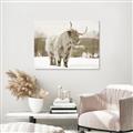 Picture of Fluffy Friend _GroupedProduct_Rectangle_Landscape_Photography _GroupedProduct_Rectangle_Landscape_Unframed_Print_Only_
