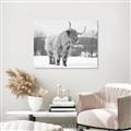Picture of Fluffy Friend _GroupedProduct_Rectangle_Landscape_Photography _GroupedProduct_Rectangle_Landscape_Unframed_Print_Only_