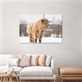 Picture of Fluffy Friend _GroupedProduct_Rectangle_Landscape_Photography _GroupedProduct_Rectangle_Landscape_Unframed_Print_Only_