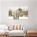 Picture of Fluffy Friend _GroupedProduct_Rectangle_Landscape_Photography _GroupedProduct_Rectangle_Landscape_Unframed_Print_Only_