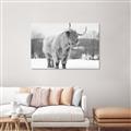 Picture of Fluffy Friend _GroupedProduct_Rectangle_Landscape_Photography _GroupedProduct_Rectangle_Landscape_Unframed_Print_Only_
