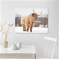 Picture of Fluffy Friend _GroupedProduct_Rectangle_Landscape_Photography _GroupedProduct_Rectangle_Landscape_Unframed_Print_Only_