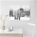 Picture of Fluffy Friend _GroupedProduct_Rectangle_Landscape_Photography _GroupedProduct_Rectangle_Landscape_Unframed_Print_Only_