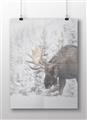 Picture of Winter Moose _GroupedProduct_Rectangle_Landscape_Photography _GroupedProduct_Rectangle_Landscape_Unframed_Print_Only_