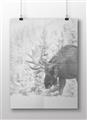 Picture of Winter Moose _GroupedProduct_Rectangle_Landscape_Photography _GroupedProduct_Rectangle_Landscape_Unframed_Print_Only_