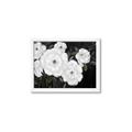 Picture of Pretty Lisianthus _GroupedProduct_Rectangle_Landscape_Framed_Matted_