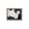 Picture of Pretty Lisianthus _GroupedProduct_Rectangle_Landscape_Framed_Matted_