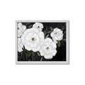 Picture of Pretty Lisianthus _GroupedProduct_Rectangle_Landscape_Framed_Matted_