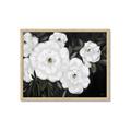 Picture of Pretty Lisianthus _GroupedProduct_Rectangle_Landscape_Framed_Matted_