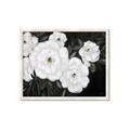 Picture of Pretty Lisianthus _GroupedProduct_Rectangle_Landscape_Framed_Matted_