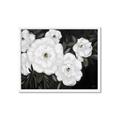 Picture of Pretty Lisianthus _GroupedProduct_Rectangle_Landscape_Framed_Matted_