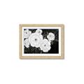Picture of Pretty Lisianthus _GroupedProduct_Rectangle_Landscape_Framed_Matted_