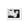 Picture of Pretty Lisianthus _GroupedProduct_Rectangle_Landscape_Framed_Matted_