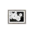 Picture of Pretty Lisianthus _GroupedProduct_Rectangle_Landscape_Framed_Matted_